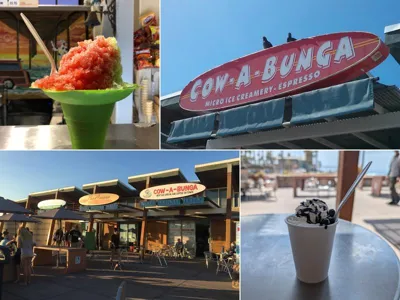 Cow-A-Bunga Ice Cream & Coffee, business photo 1
