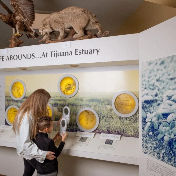 Tijuana Estuary Visitor Center business photo