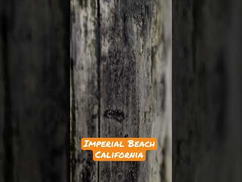 Imperial Beach California video thumbnail
